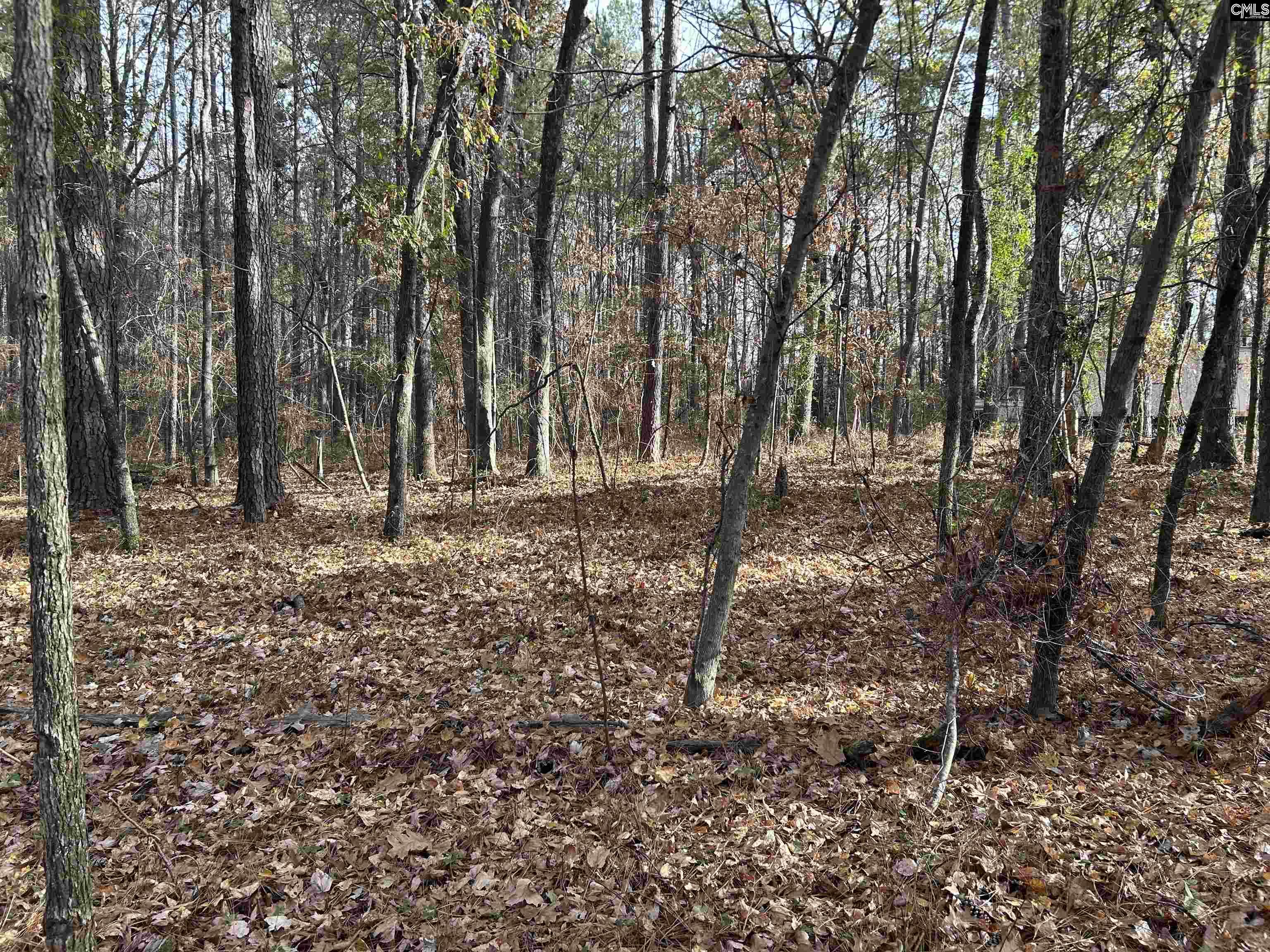440 Paschal Road Elgin, SC 29045