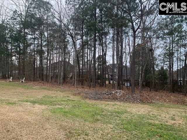 920 Ringbelle Row Blythewood, SC 29016