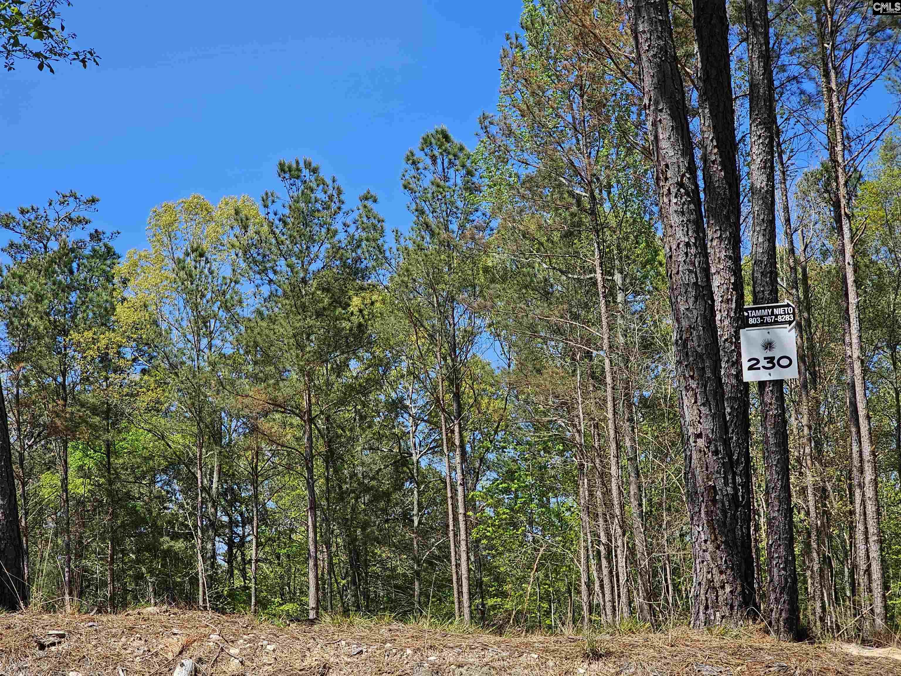 LOT 230 Granny Hill Road UNIT #230 Prosperity, SC 29172