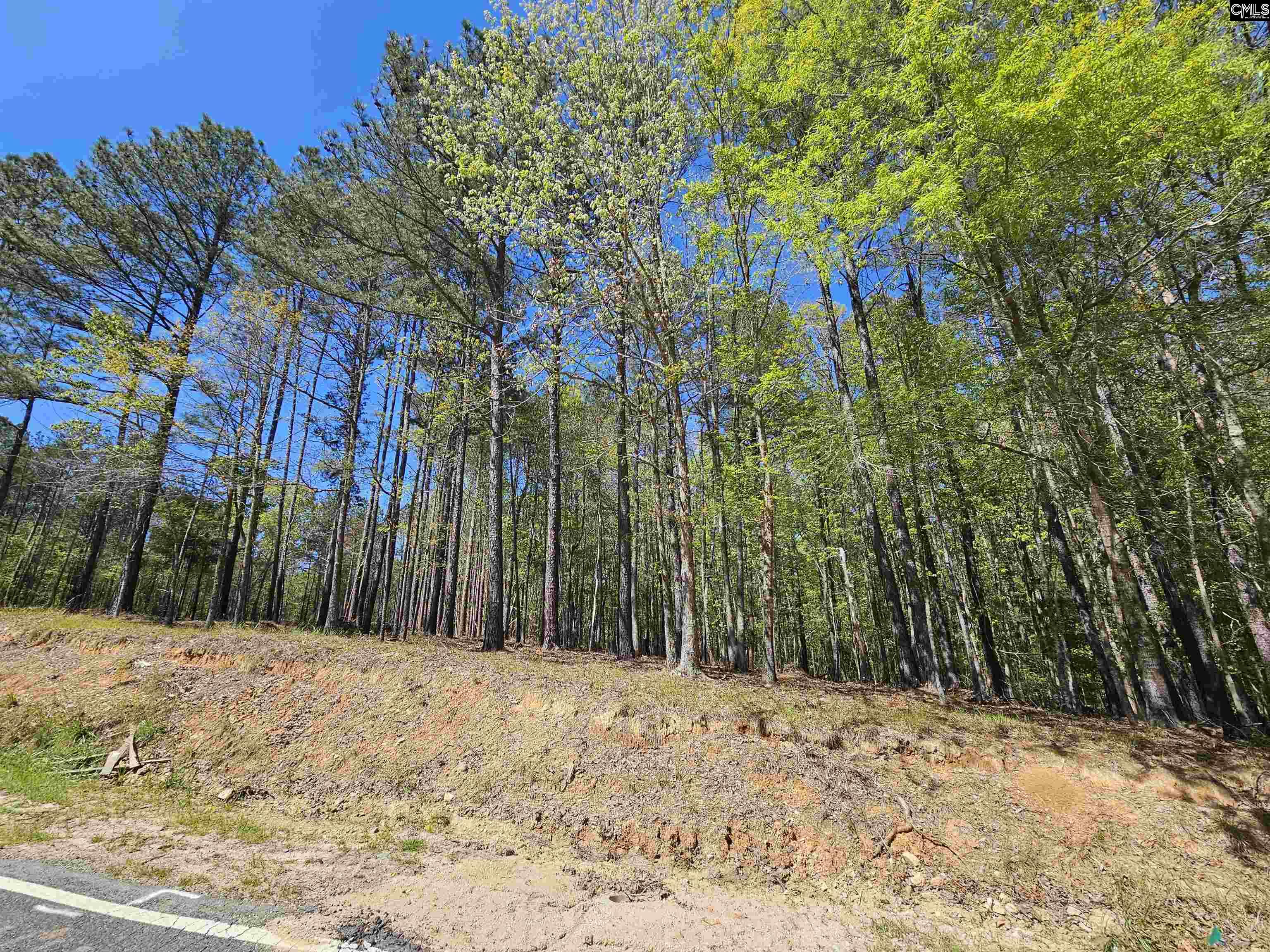 LOT 230 Granny Hill Road UNIT #230 Prosperity, SC 29172