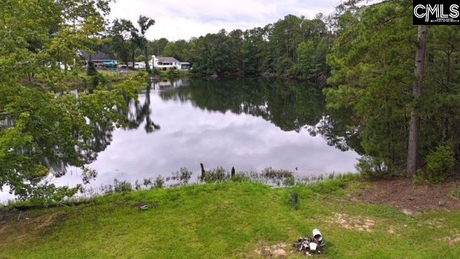 613 Skyline Drive Leesville, SC 29070