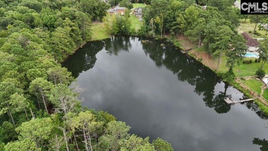613 Skyline Drive Leesville, SC 29070