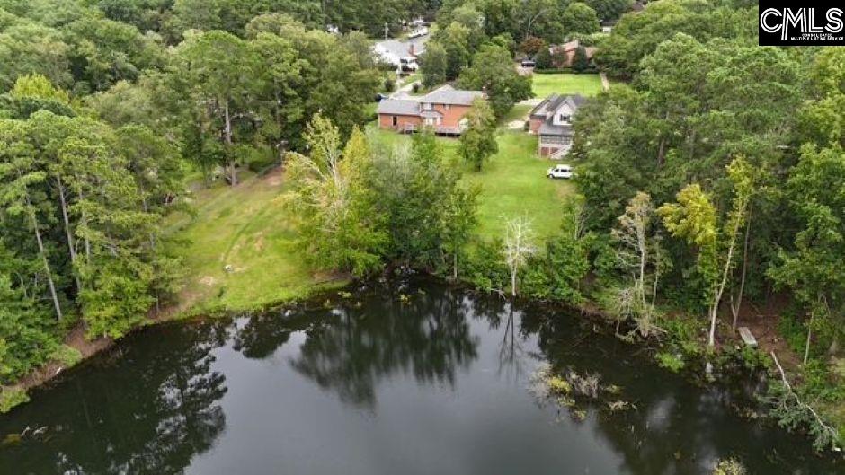 613 Skyline Drive Leesville, SC 29070