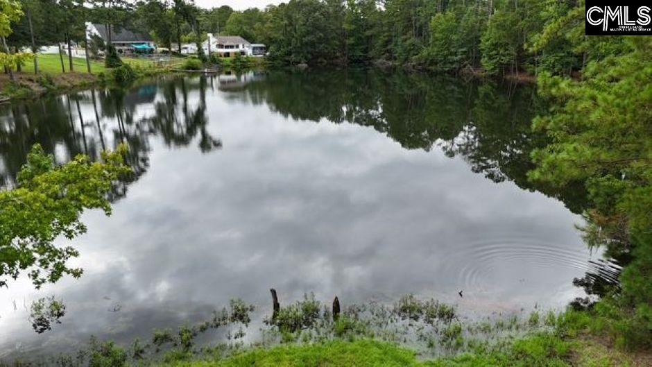 613 Skyline Drive Leesville, SC 29070