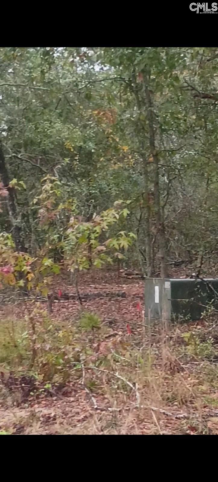 131 Rhinehart Street UNIT 16 T&1 Orangeburg, SC 29118
