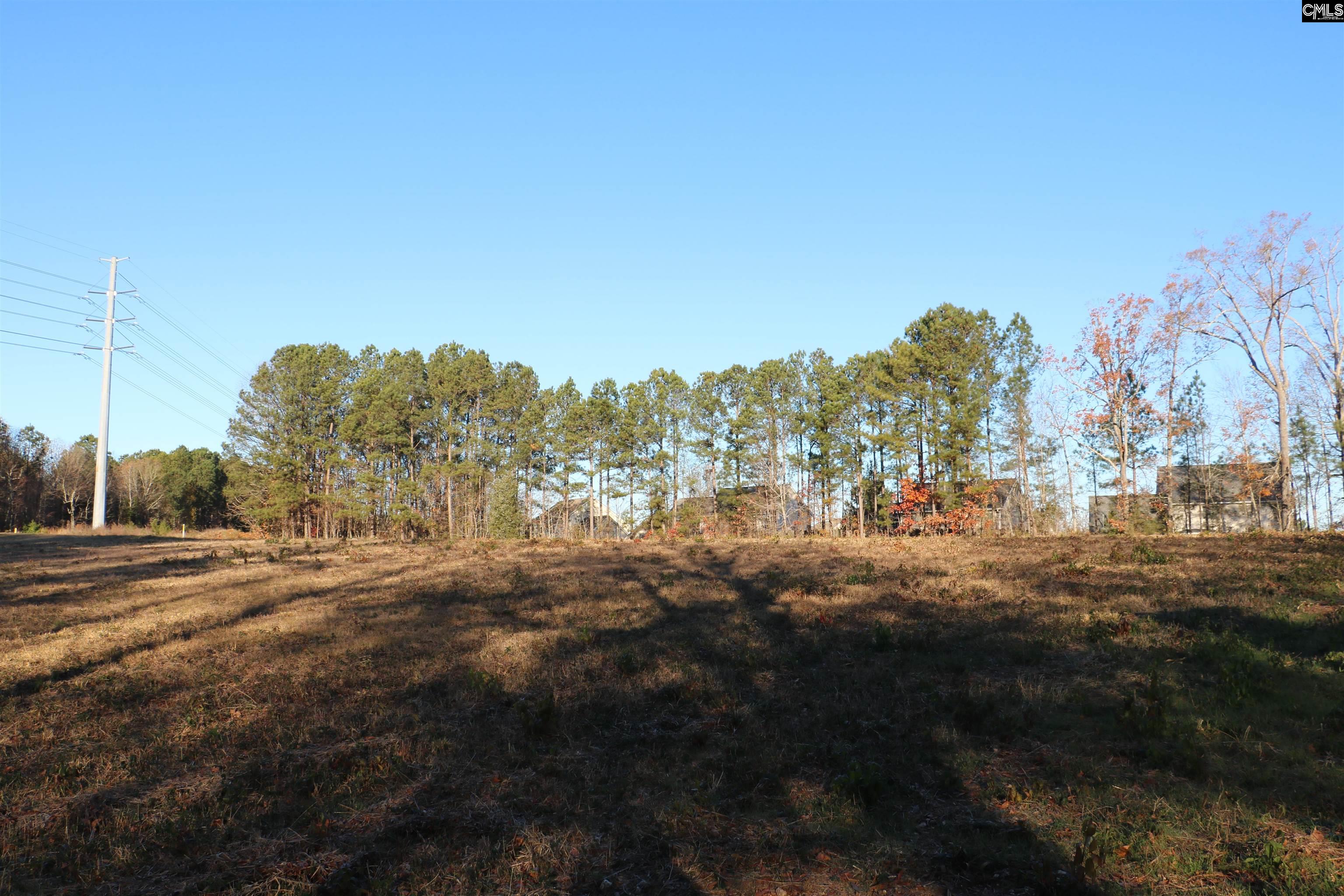0 Bethany Drive, Irmo — photo 4