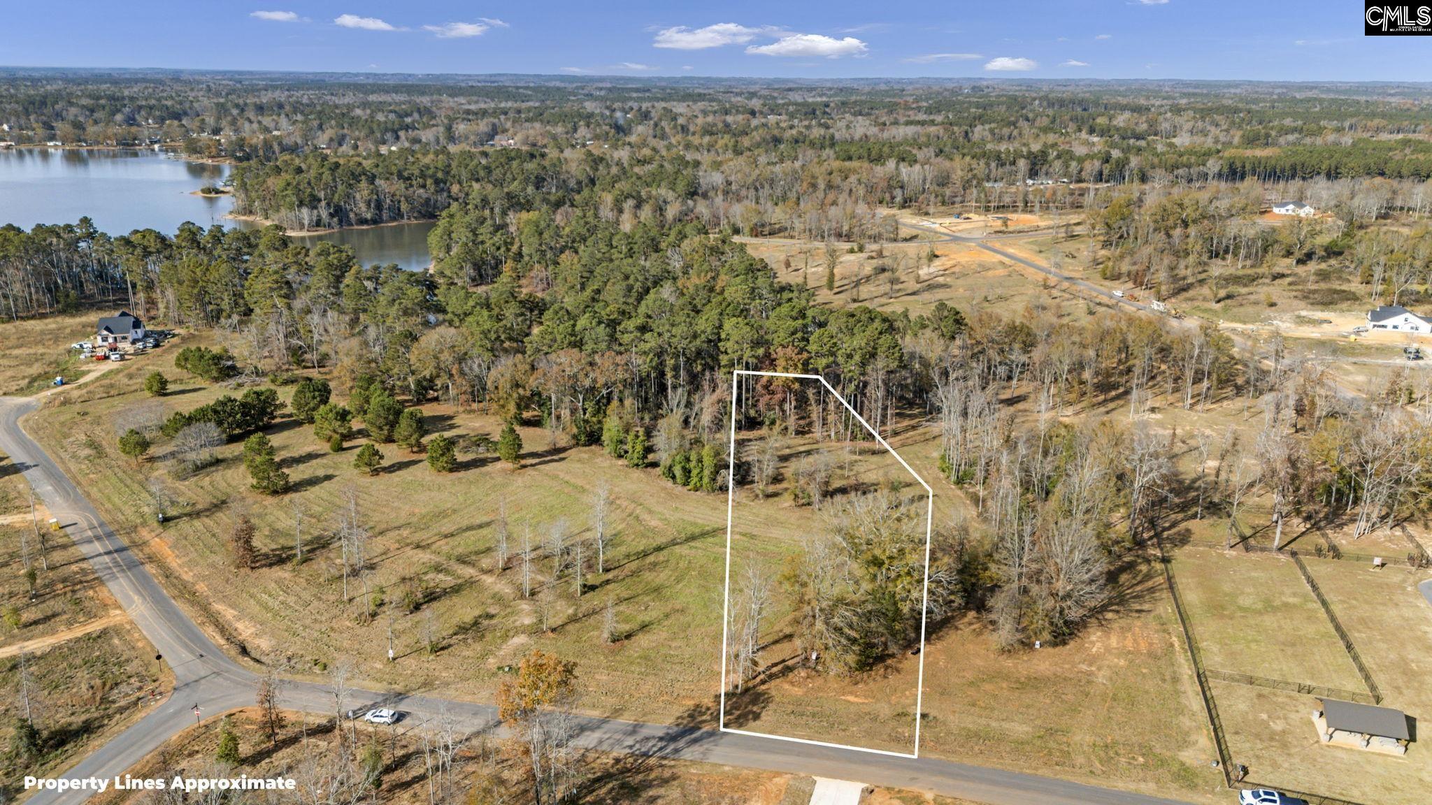Woodside Shores Drive UNIT Lot 246 Prosperity, SC 29127