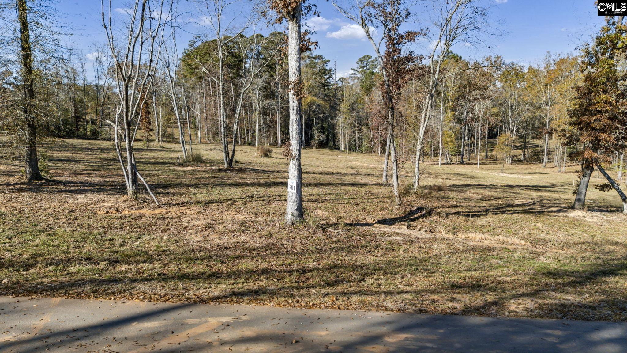 Navigator Trail UNIT #301 Prosperity, SC 29127