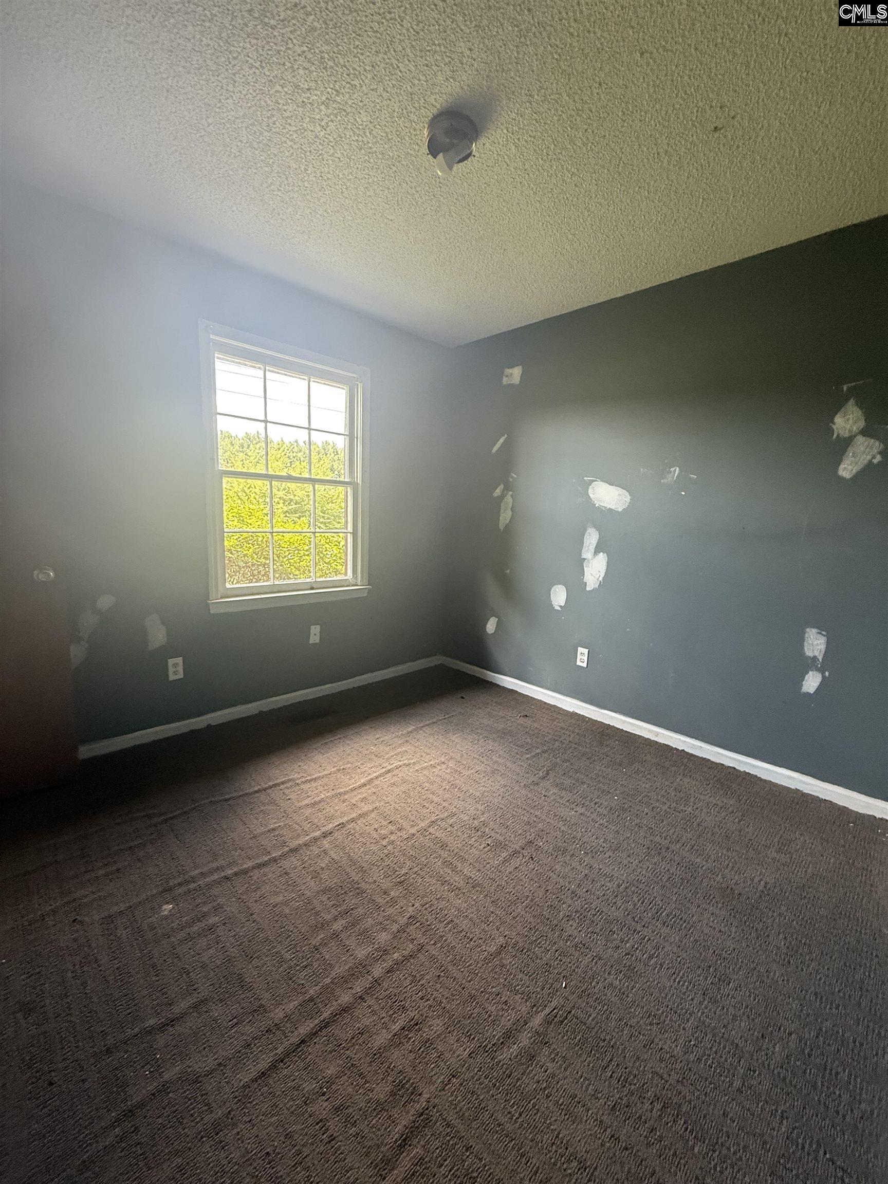 73 Sampson Hemingway, SC 29554