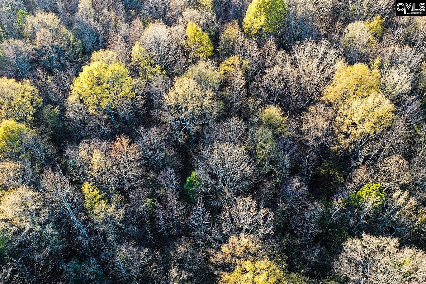 Rocky Creek Road Newberry, SC 29108