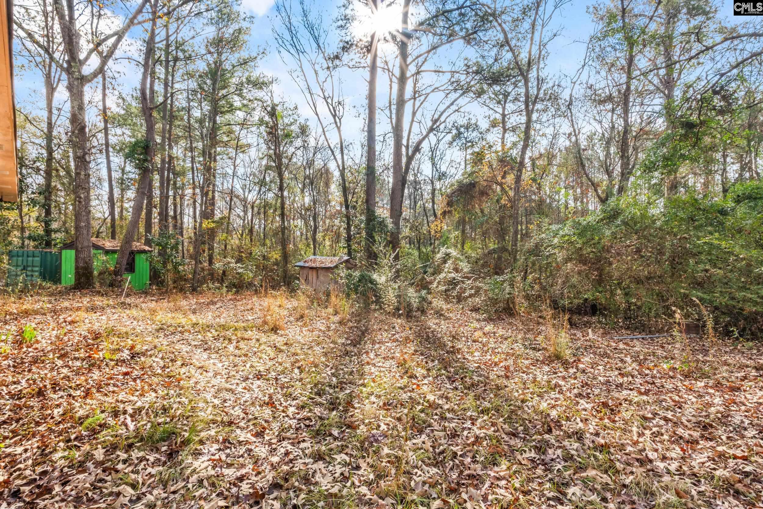 812 Basil Road Swansea, SC 29160