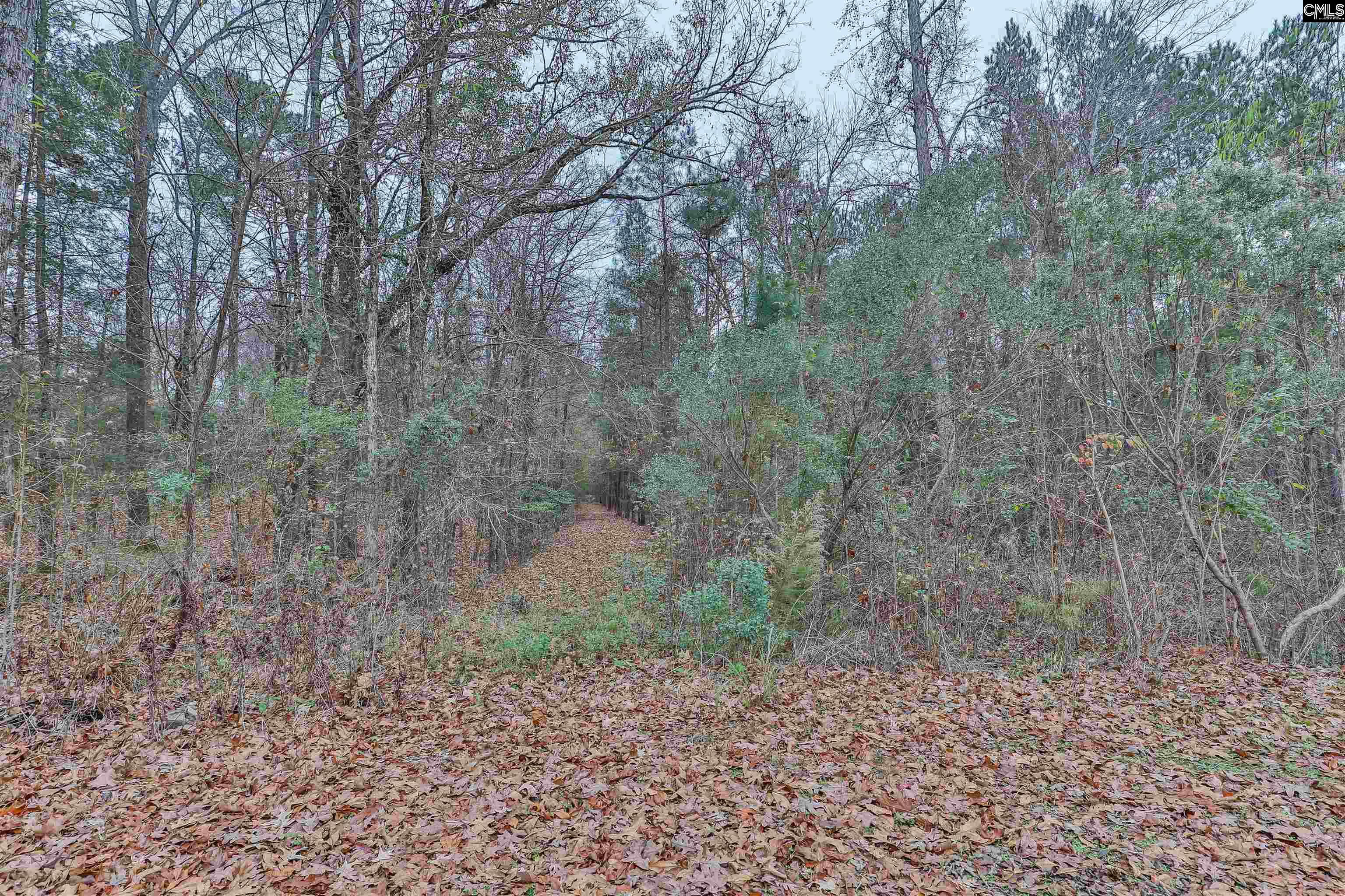2101 Kennerly Road Irmo, SC 29063
