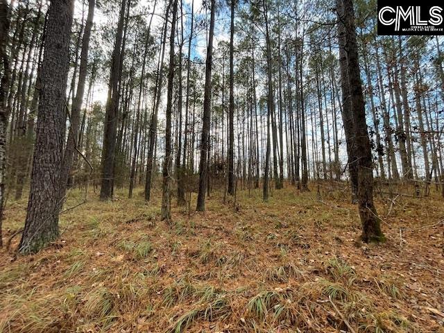 Lot 104 Pineland Road UNIT Lot 104 Chappells, SC 29037