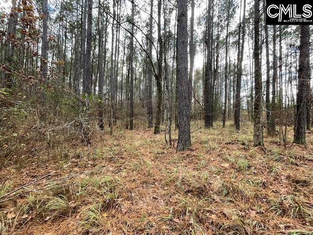 Lot 104 Pineland Road UNIT Lot 104 Chappells, SC 29037