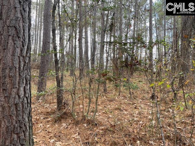 Lot 104 Pineland Road UNIT Lot 104 Chappells, SC 29037