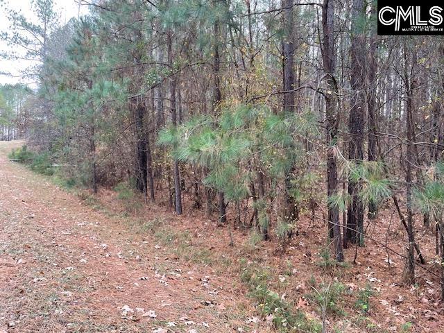 Lot 104 Pineland Road UNIT Lot 104 Chappells, SC 29037