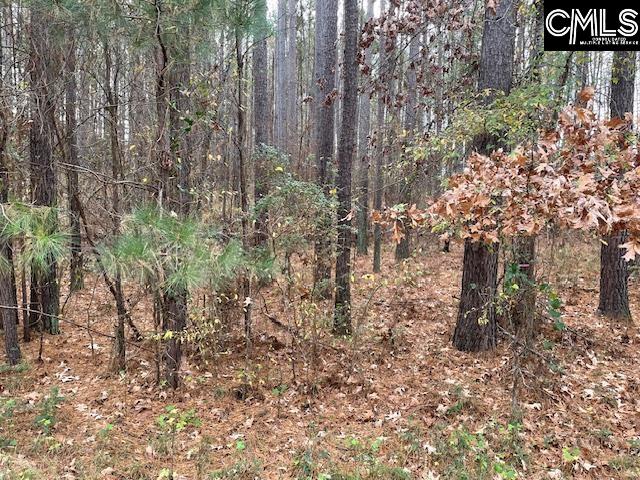 Lot 104 Pineland Road UNIT Lot 104 Chappells, SC 29037