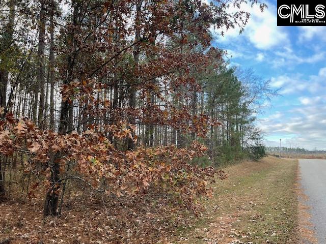 Lot 104 Pineland Road UNIT Lot 104 Chappells, SC 29037