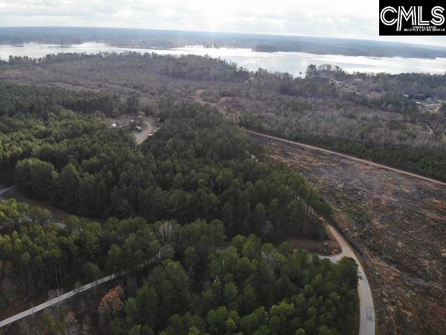 Lot 104 Pineland Road UNIT Lot 104 Chappells, SC 29037