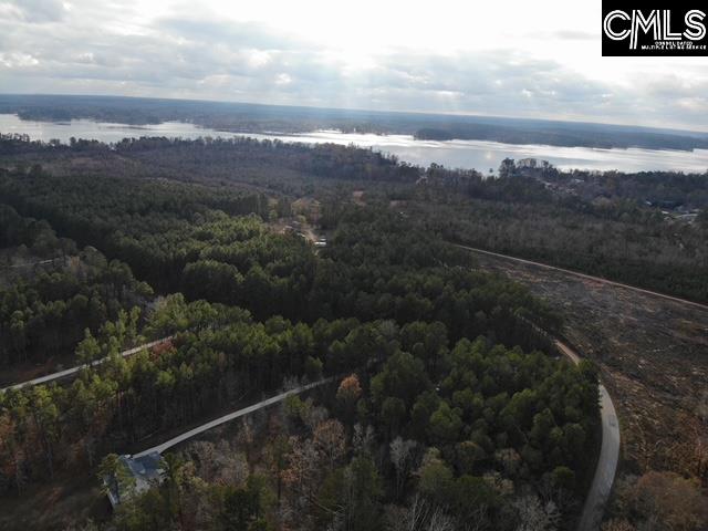 Lot 104 Pineland Road UNIT Lot 104 Chappells, SC 29037