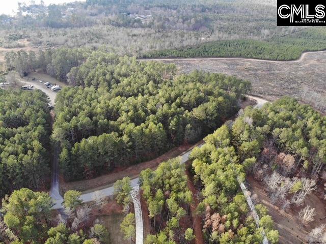 Lot 104 Pineland Road UNIT Lot 104 Chappells, SC 29037