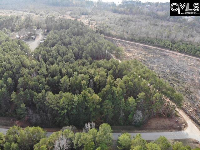 Lot 104 Pineland Road UNIT Lot 104 Chappells, SC 29037