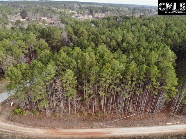 Lot 104 Pineland Road UNIT Lot 104 Chappells, SC 29037