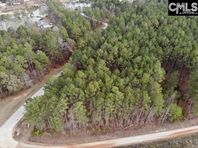 Lot 104 Pineland Road UNIT Lot 104 Chappells, SC 29037