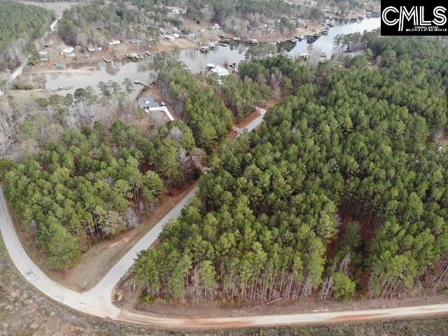 Lot 104 Pineland Road UNIT Lot 104 Chappells, SC 29037