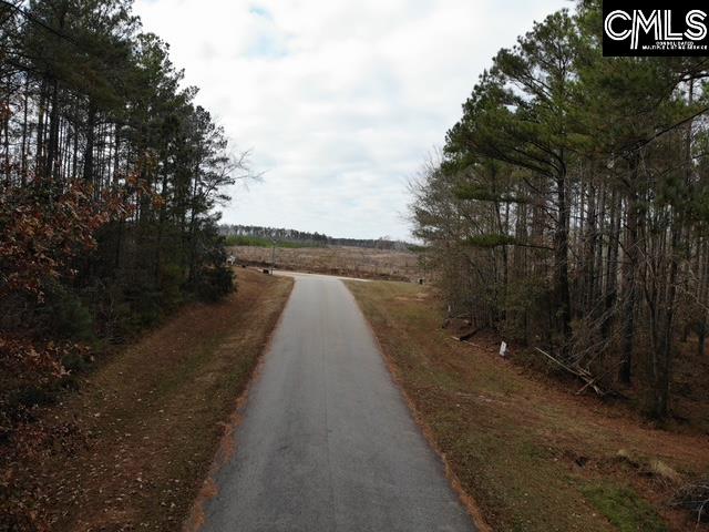 Lot 104 Pineland Road UNIT Lot 104 Chappells, SC 29037
