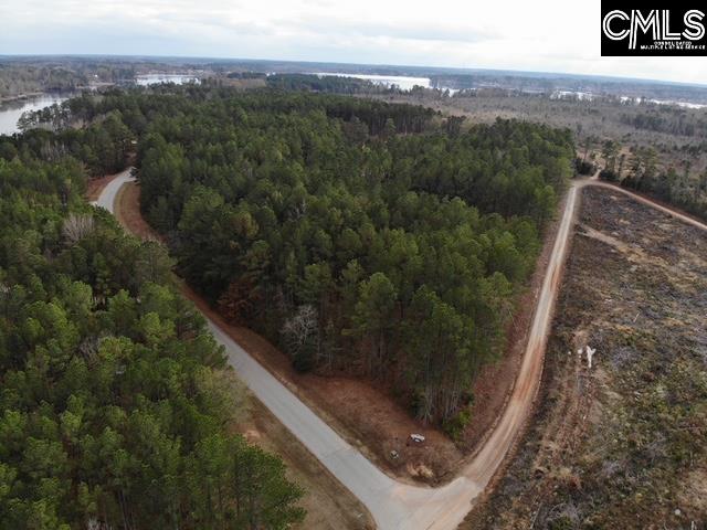 Lot 104 Pineland Road UNIT Lot 104 Chappells, SC 29037