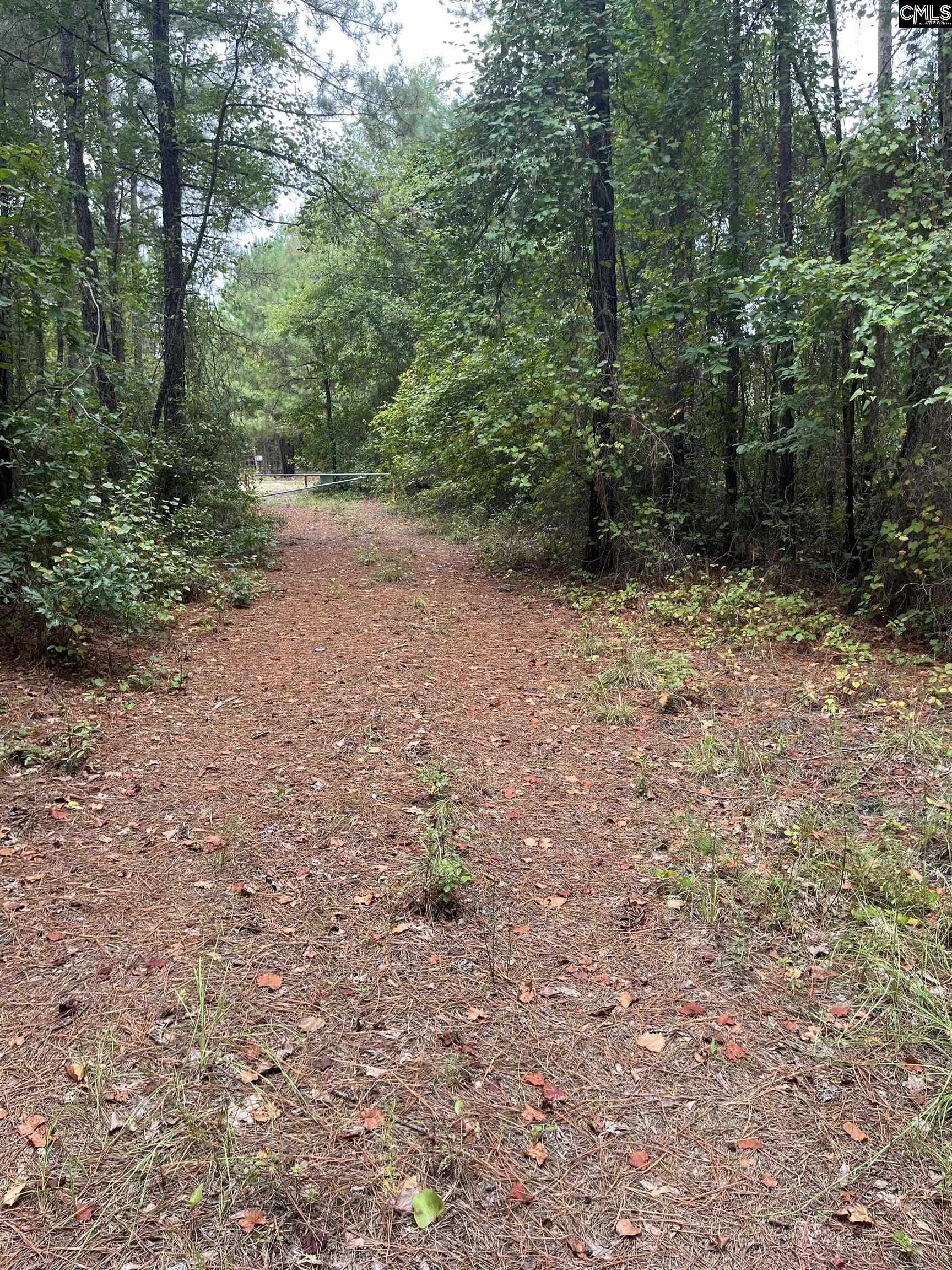 BHL 7 Boise Cascade Road Bethune, SC 29009