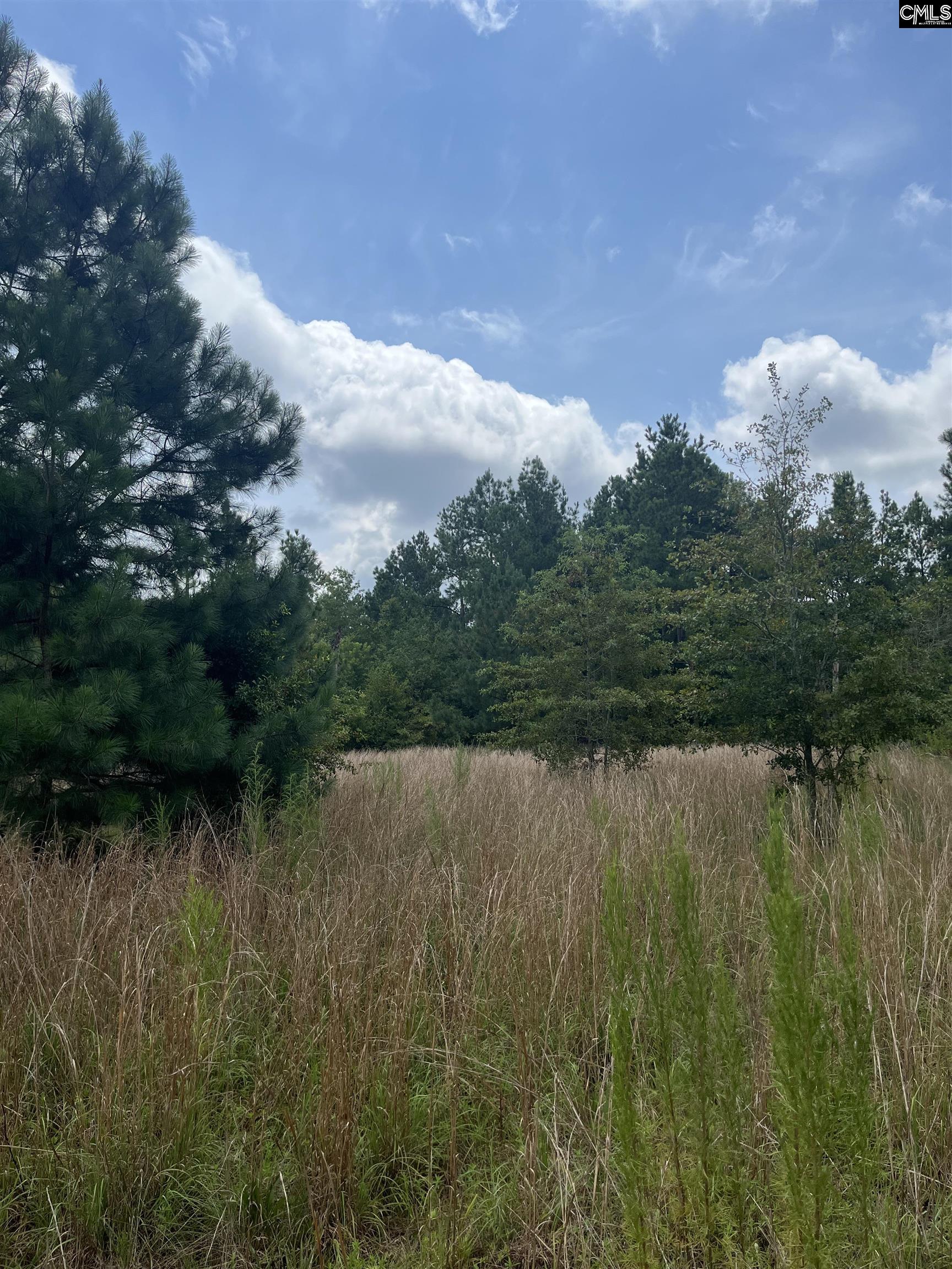 BHL 7 Boise Cascade Road Bethune, SC 29009