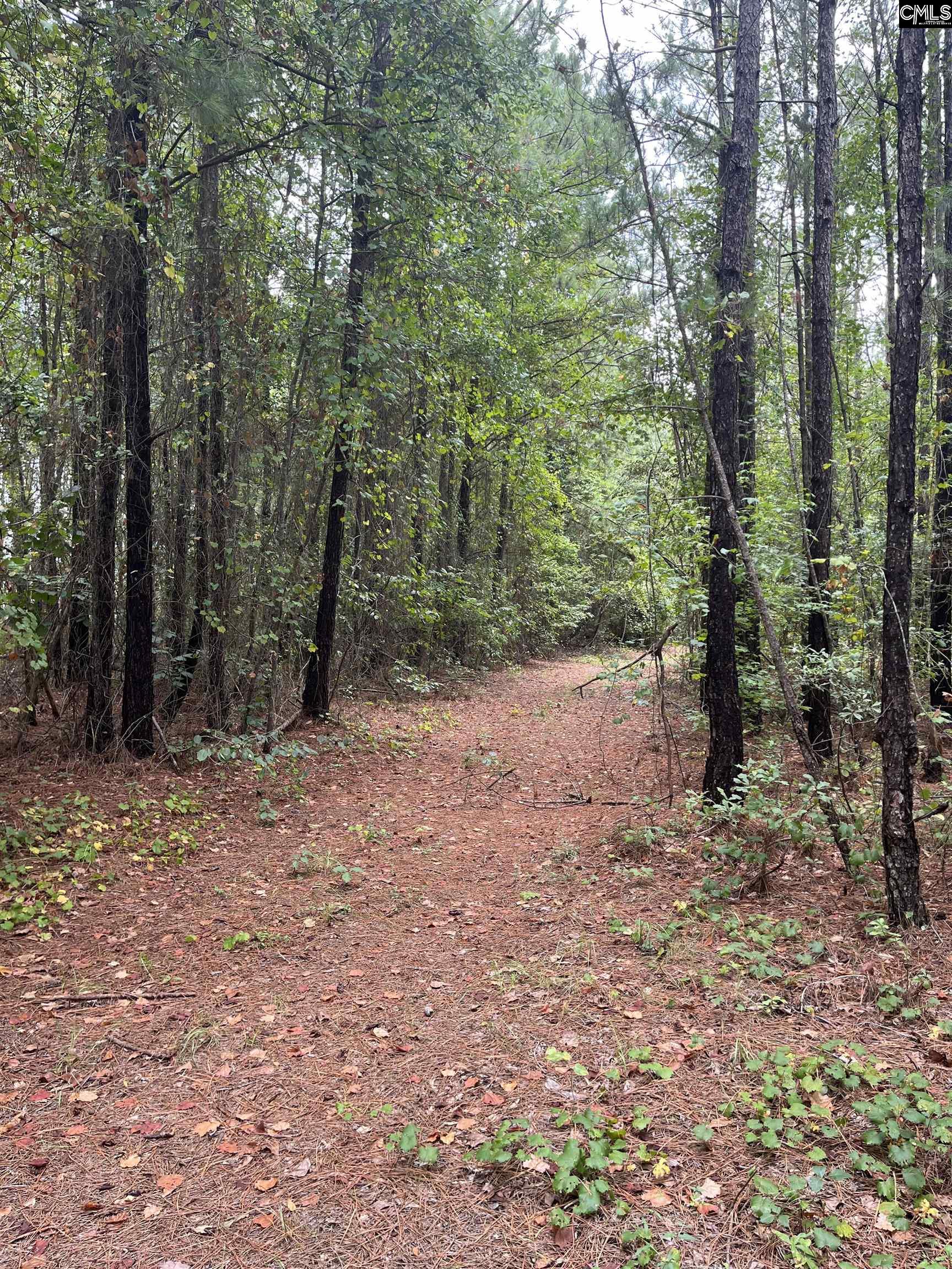 BHL 7 Boise Cascade Road Bethune, SC 29009