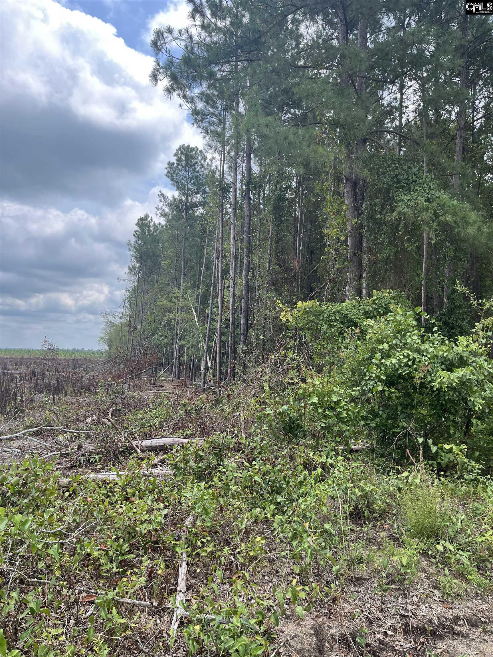 BHL 7 Boise Cascade Road Bethune, SC 29009