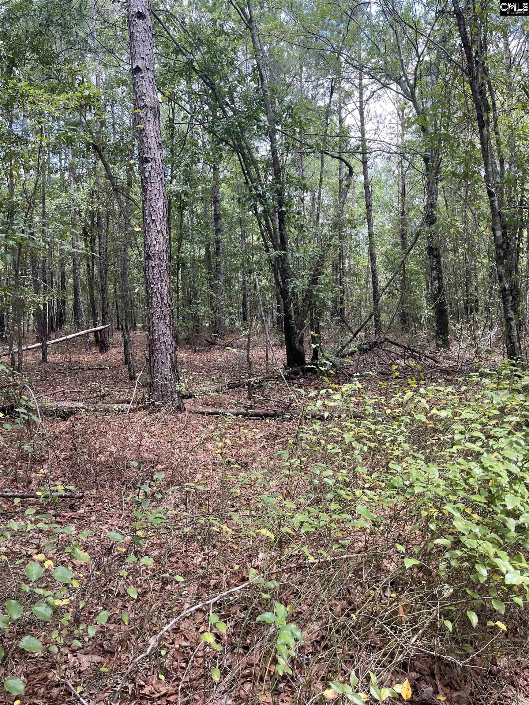BHL 7 Boise Cascade Road Bethune, SC 29009
