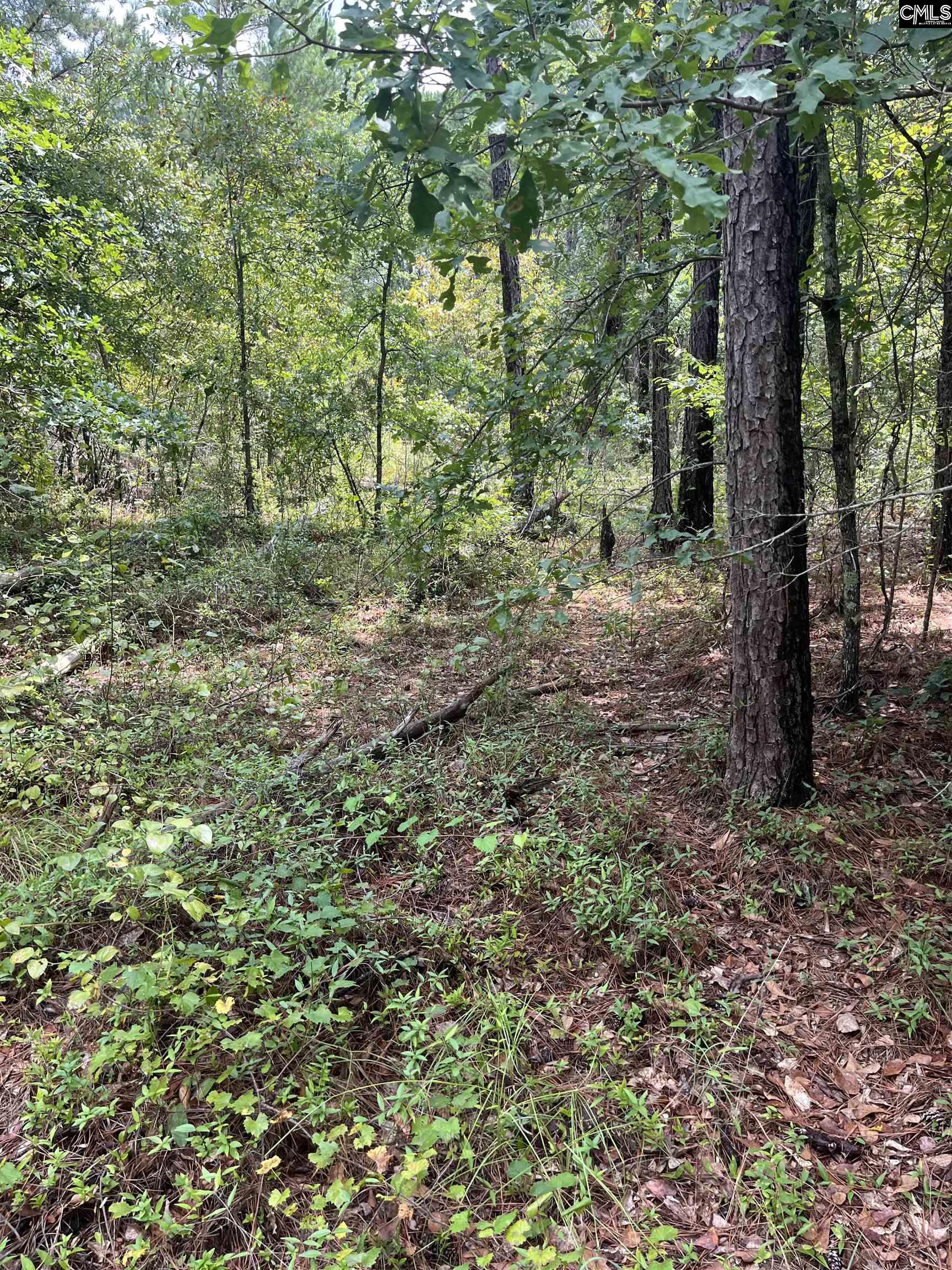 BHL 7 Boise Cascade Road Bethune, SC 29009