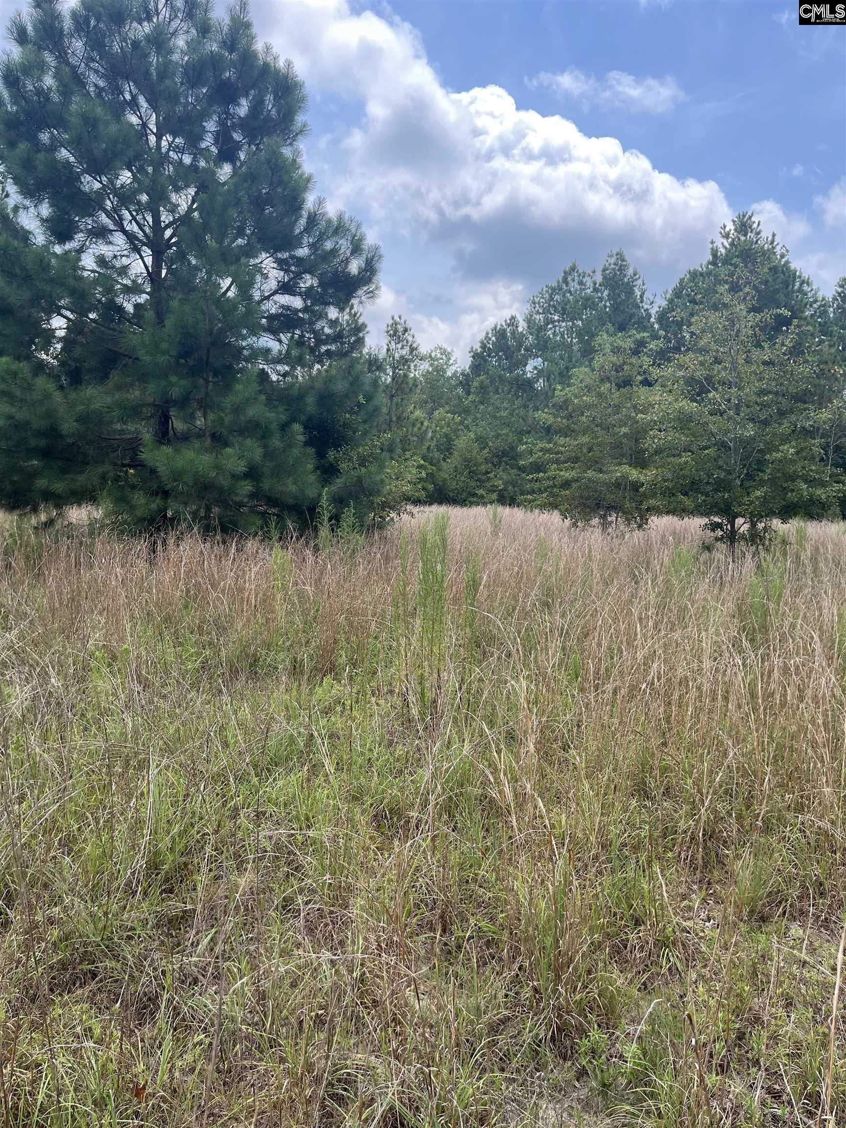 BHL 7 Boise Cascade Road Bethune, SC 29009