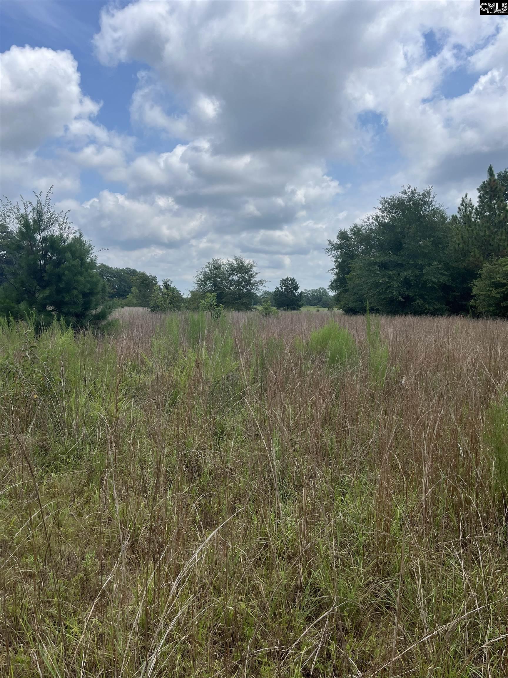 BHL 7 Boise Cascade Road Bethune, SC 29009