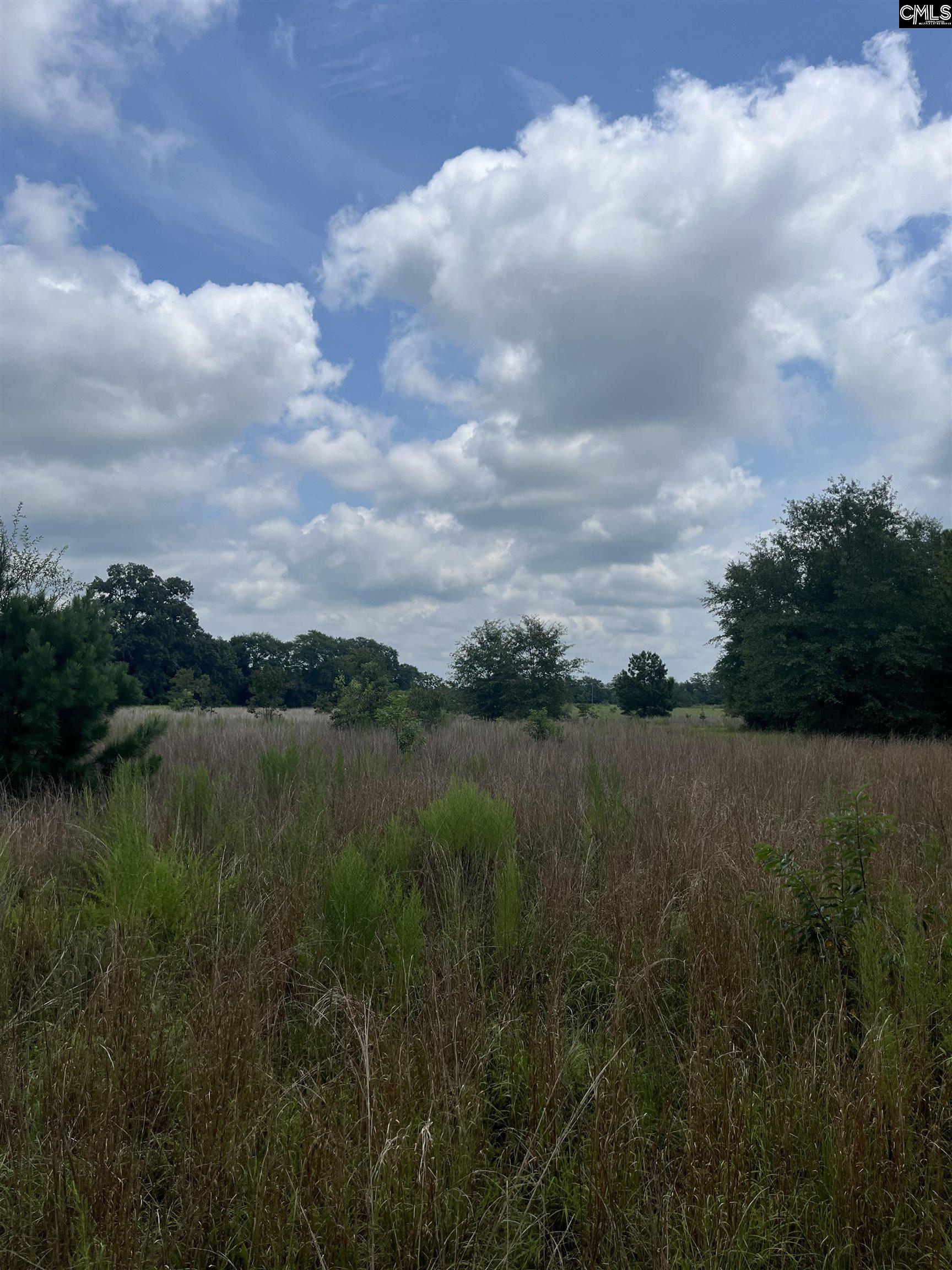 BHL 7 Boise Cascade Road Bethune, SC 29009