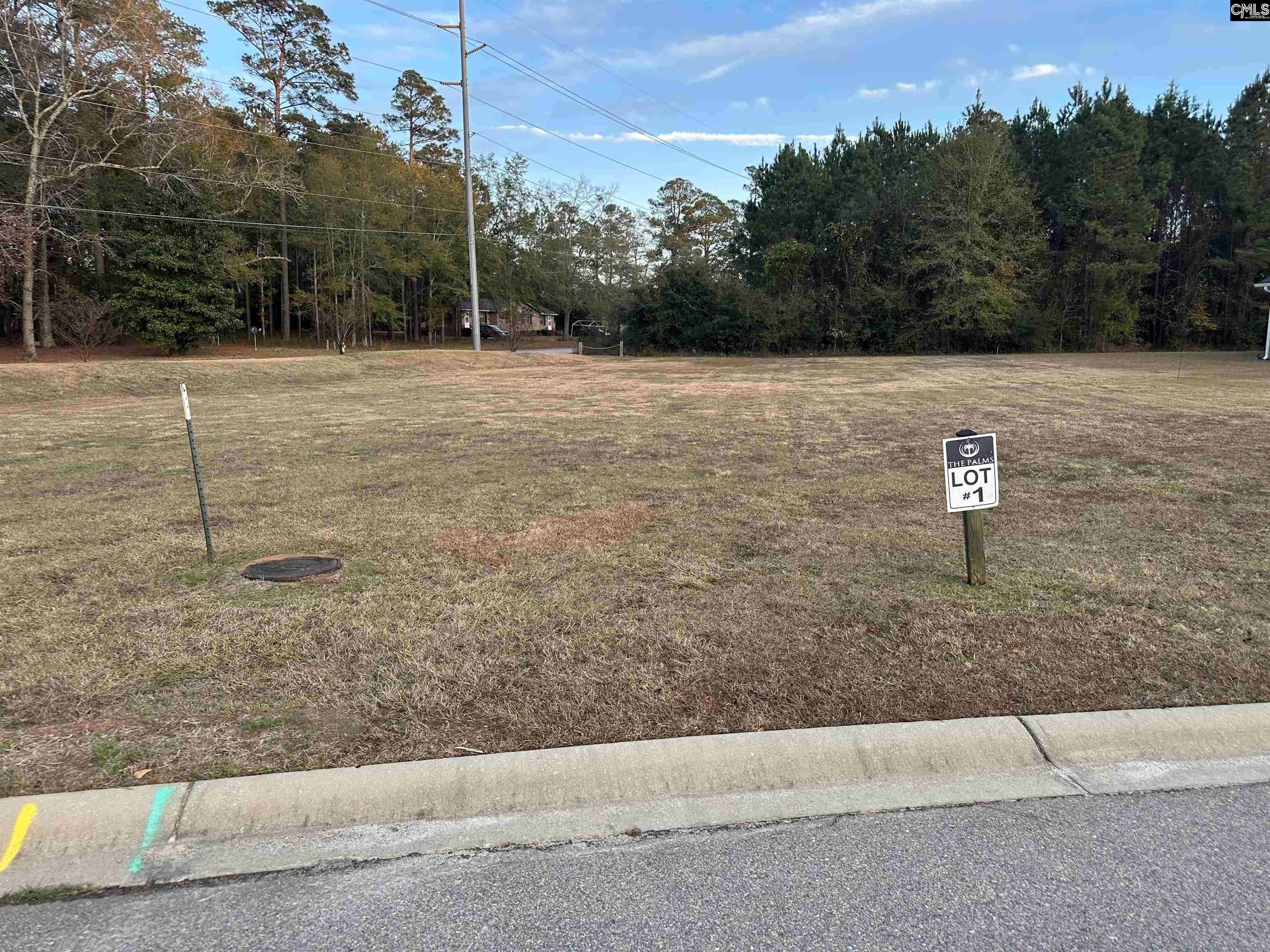 111 Sago Palm Drive UNIT #1 Orangeburg, SC 29118