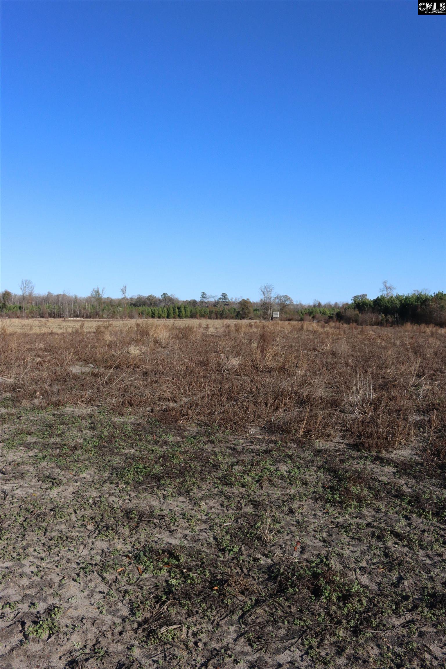 Highway 3 Blackville, SC 29817