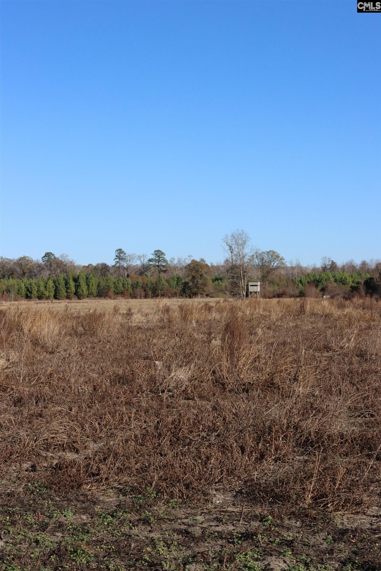 Highway 3 Blackville, SC 29817