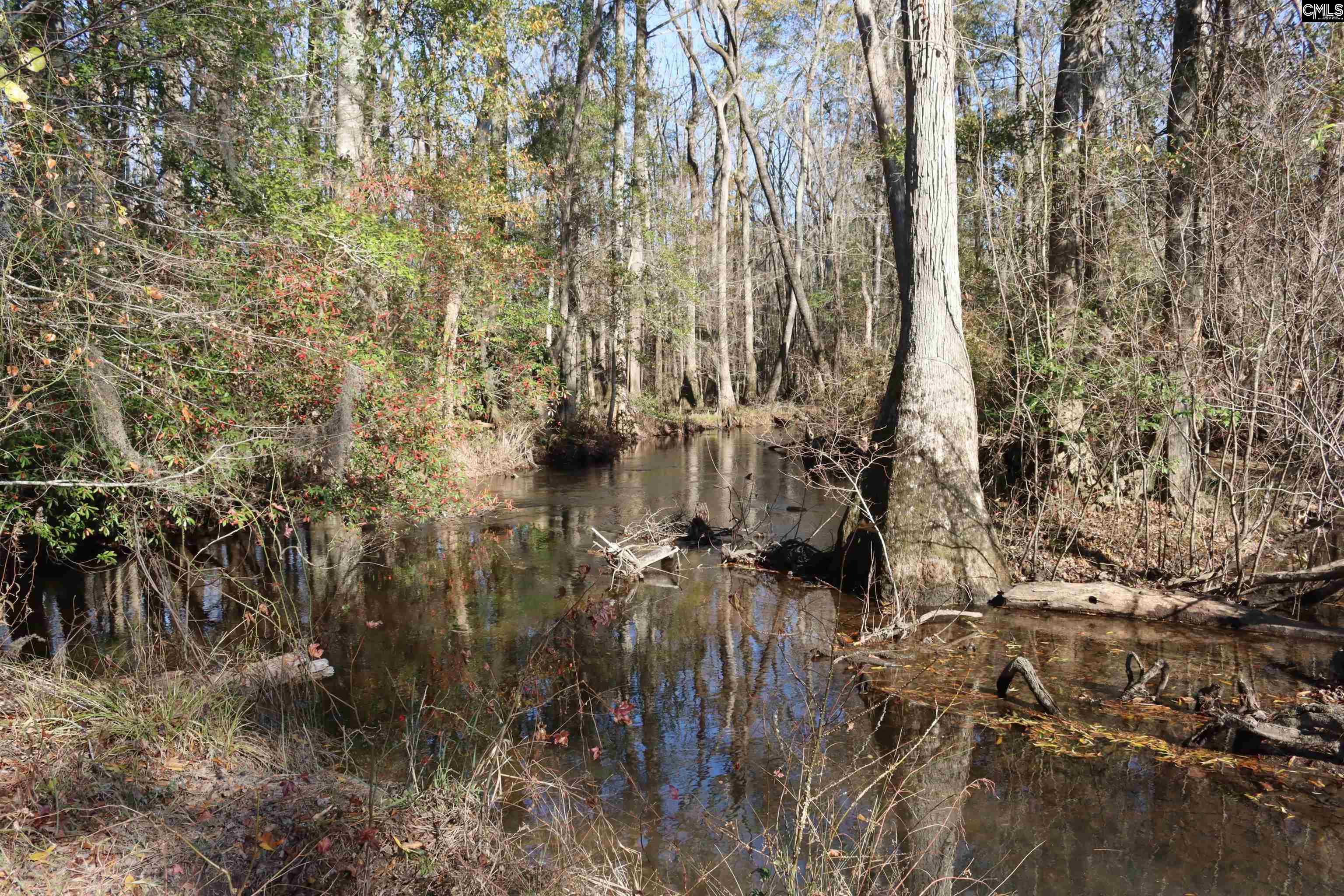 Highway 3 Blackville, SC 29817