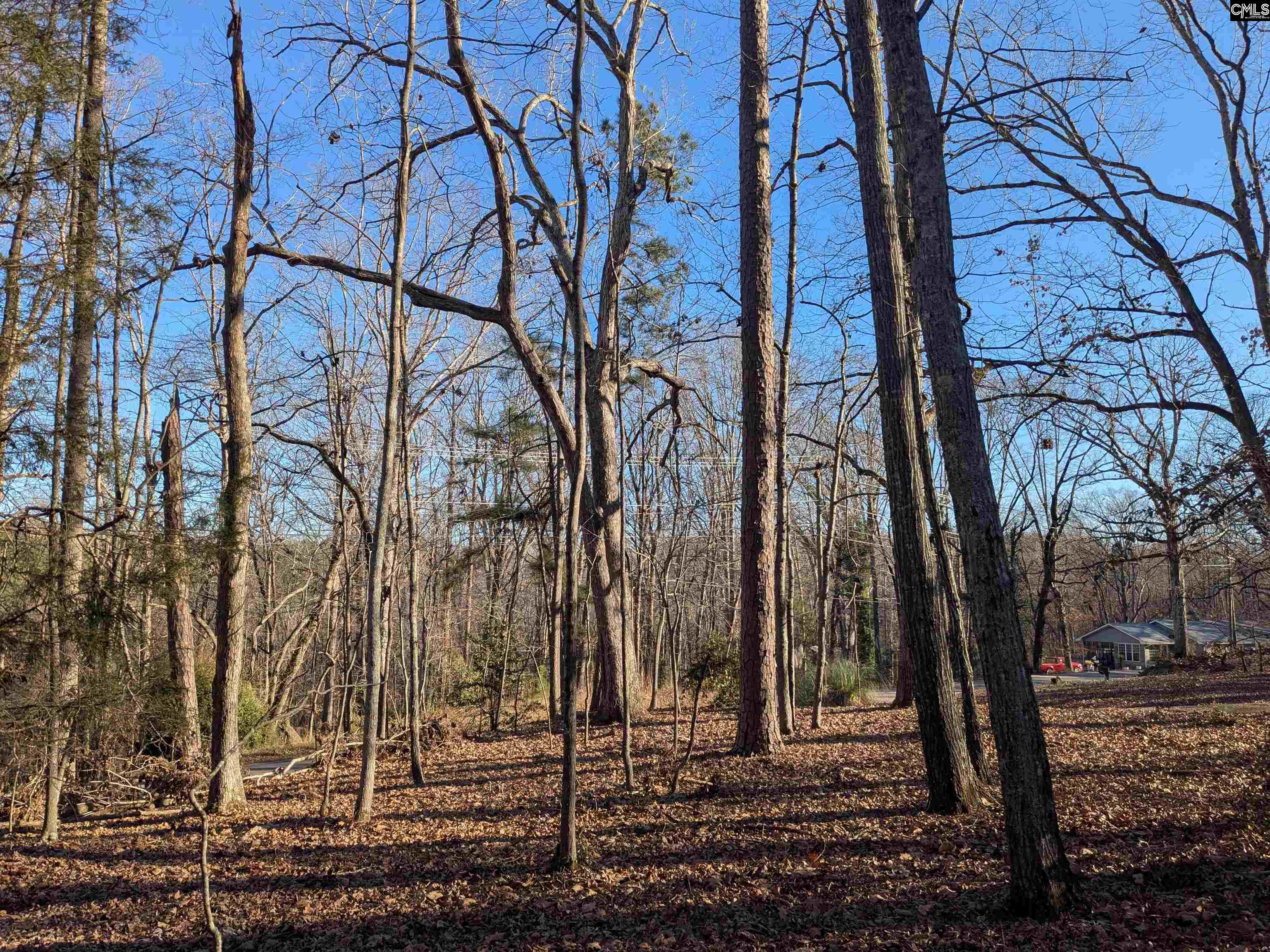 Dogwood Avenue Winnsboro, SC 29180