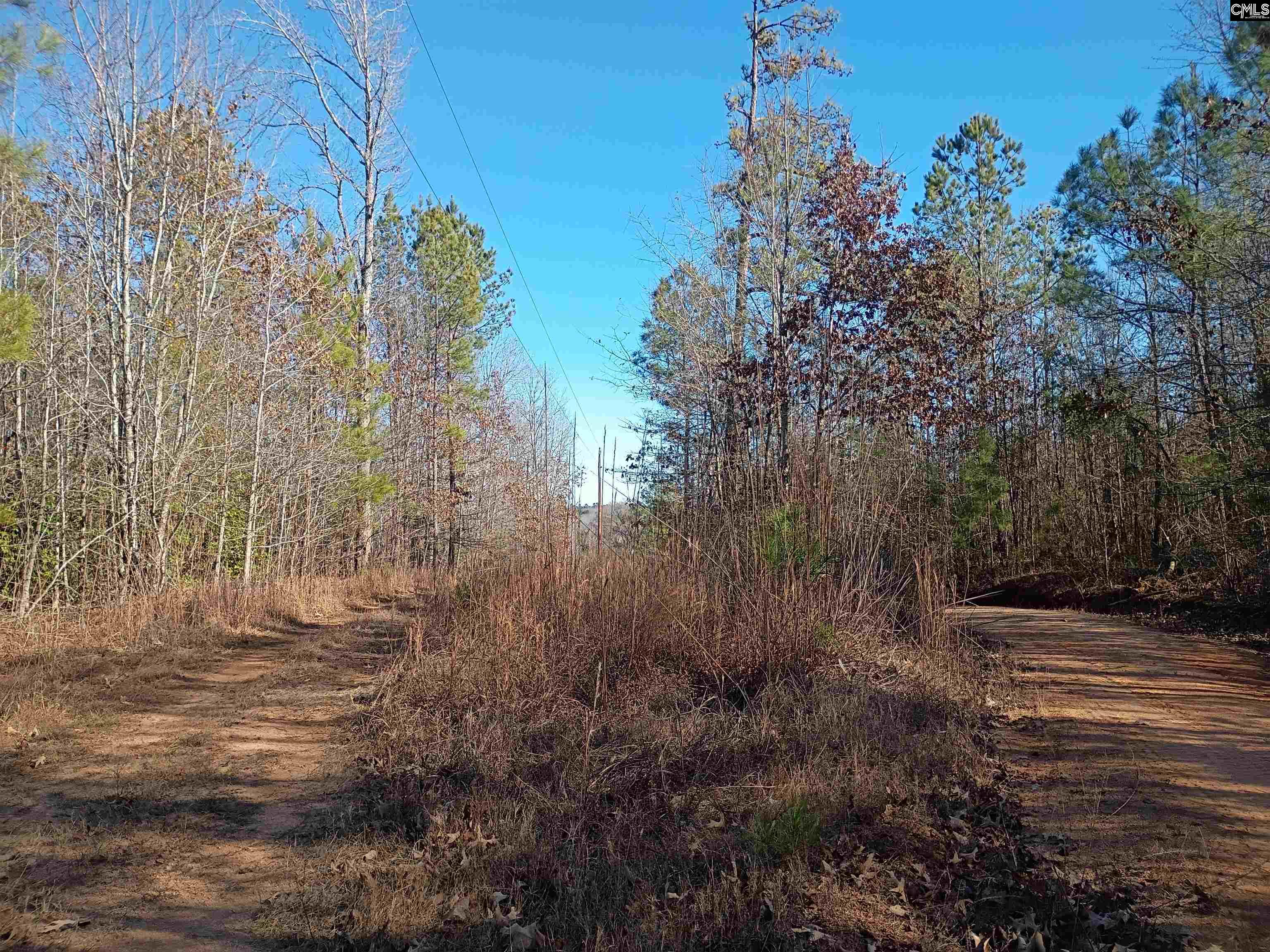 1164 Calvins Road Camden, SC 29020