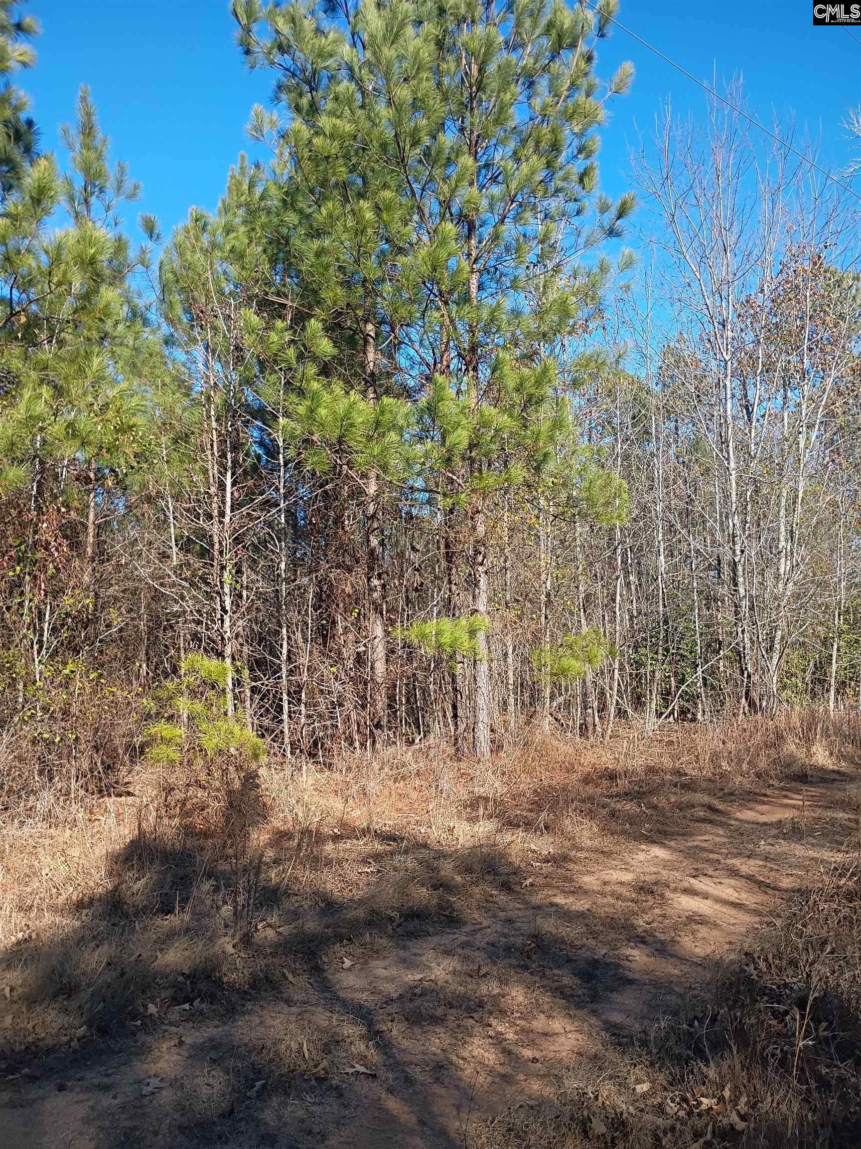 1164 Calvins Road Camden, SC 29020