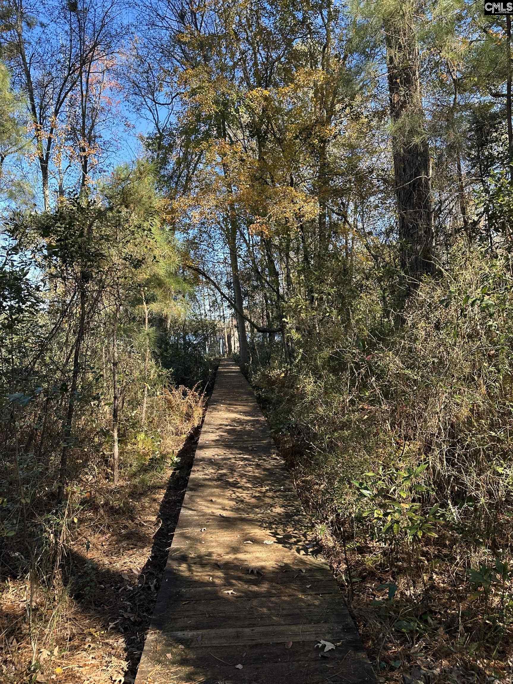 Lot 39 Edisto Lake Road UNIT #39 Wagener, SC 29164
