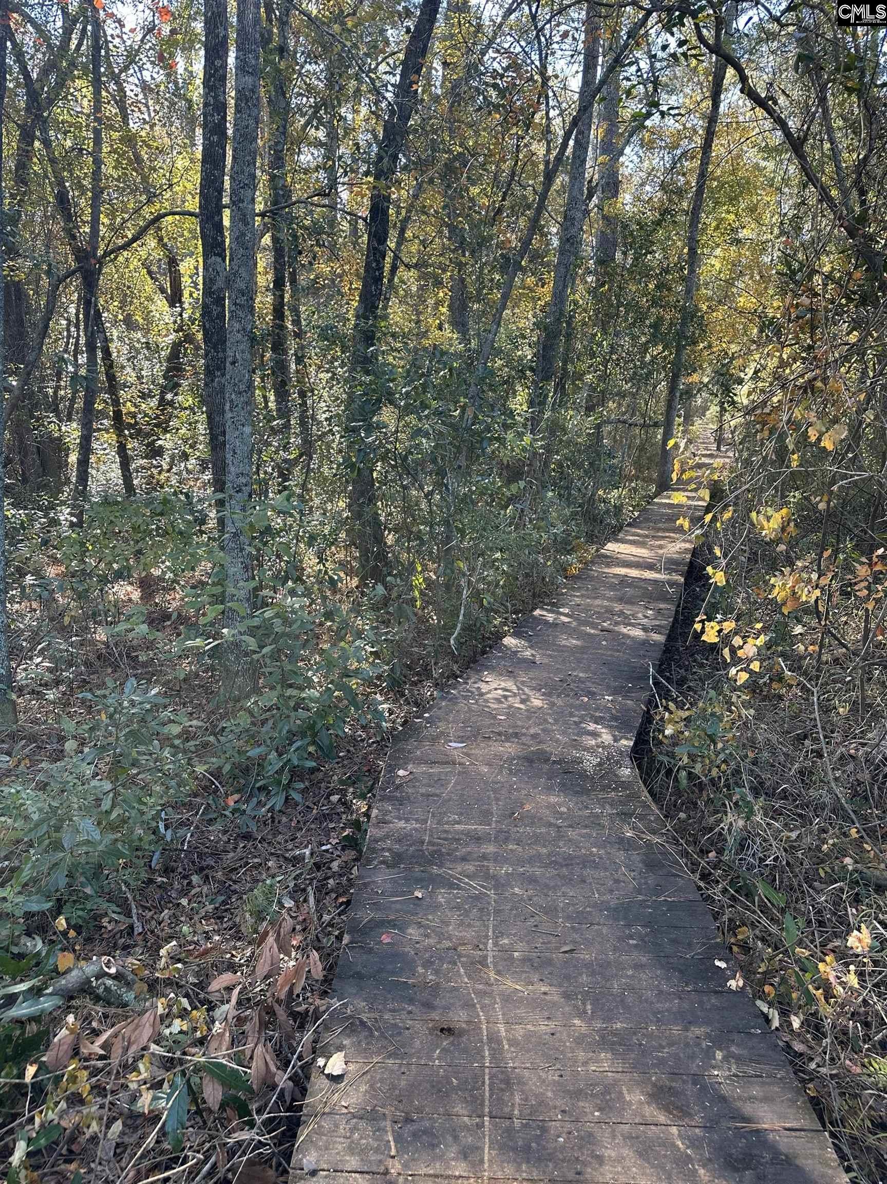 Lot 39 Edisto Lake Road UNIT #39 Wagener, SC 29164