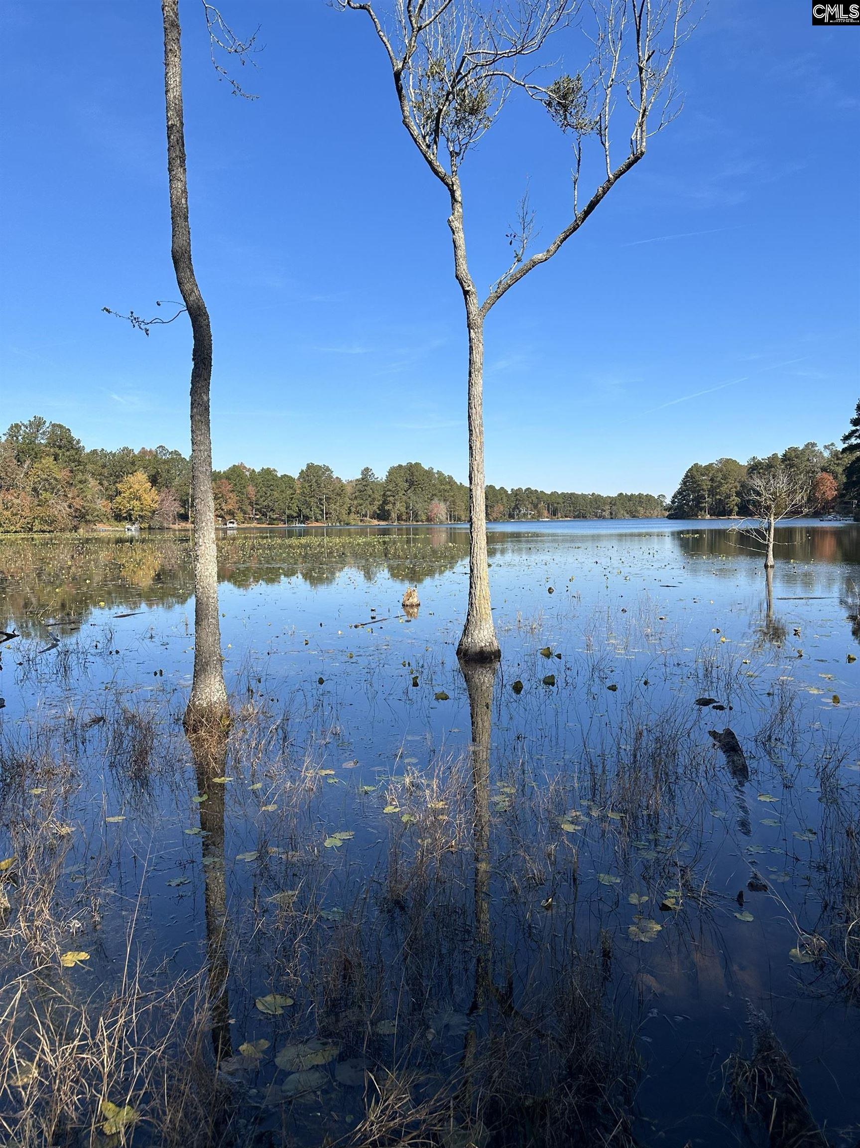 Lot 39 Edisto Lake Road UNIT #39 Wagener, SC 29164